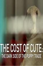 Watch The Cost of Cute: The Dark Side of the Puppy Trade 123netflix