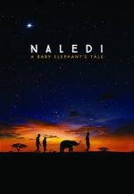Watch Naledi: A Baby Elephant\'s Tale 123netflix