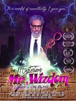 Watch The Mysterious Mr. Wizdom 123netflix