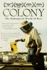 Watch Colony 123netflix