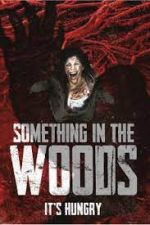 Watch Something in the Woods 123netflix