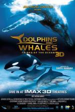 Watch Dolphins and Whales 3D Tribes of the Ocean 123netflix