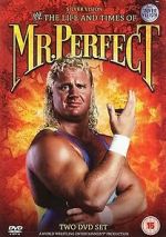 Watch The Life and Times of Mr. Perfect 123netflix