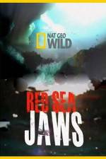 Watch National Geographic Red Sea Jaws 123netflix
