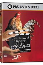 Watch The Natural History of the Chicken 123netflix