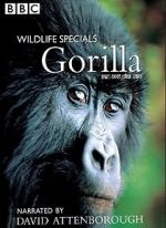 Watch Gorilla Revisited with David Attenborough 123netflix