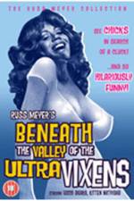 Watch Beneath the Valley of the Ultra-Vixens 123netflix