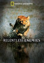 Watch Relentless Enemies 123netflix