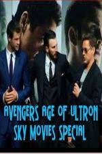Watch Avengers Age of Ultron Sky Movies Special 123netflix