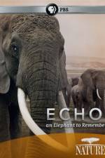 Watch Echo: An Elephant to Remember 123netflix