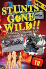 Watch Stunts Gone Wild: Crashes, Smashes & Road Rashes! 123netflix