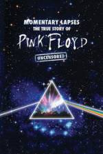 Watch Pink Floyd: Momentary Lapses - The True Story Of Pink Floyd 123netflix