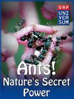 Watch Ants: Nature\'s Secret Power 123netflix