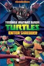 Watch Teenage Mutant Ninja Turtles: Enter Shredder 123netflix