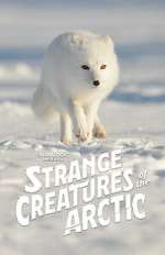Watch Strange Creatures of the Arctic (TV Special 2022) 123netflix