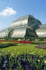 Watch Cruickshank on Kew: The Garden That Changed the World 123netflix
