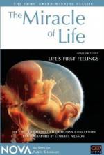 Watch The Miracle of Life 123netflix