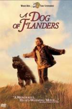 Watch A Dog of Flanders 123netflix