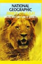 Watch National Geographic: Walking with Lions 123netflix