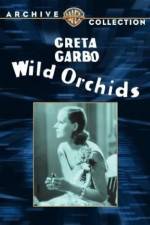 Watch Wild Orchids 123netflix