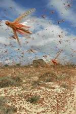 Watch Swarm Chasers: Locusts 123netflix