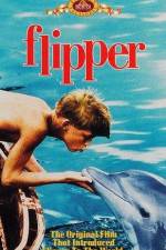 Watch Flipper 123netflix