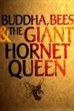 Watch Natural World Buddha Bees and the Giant Hornet Queen 123netflix