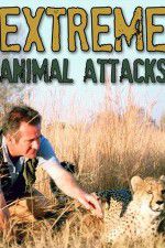 Watch Extreme Animal Attacks 123netflix