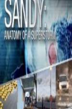 Watch Sandy Anatomy Of A Superstorm 123netflix