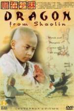 Watch Long zai Shaolin 123netflix
