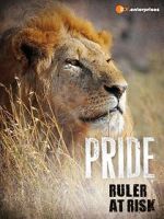 Watch Pride - Ruler\'s at Risk 123netflix