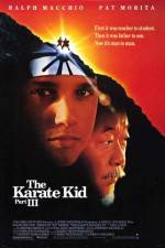 Watch The Karate Kid, Part III 123netflix