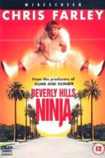 Watch Beverly Hills Ninja 123netflix