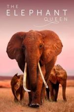 Watch The Elephant Queen 123netflix