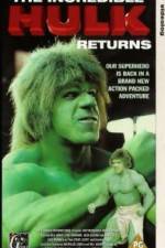 Watch The Incredible Hulk Returns 123netflix