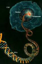 Watch Horizon: Miracle Cure? A Decade of the Human Genome 123netflix