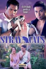 Watch Stray Cats 123netflix