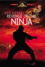 Watch Revenge of the Ninja 123netflix