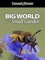 Watch Big World in a Small Garden (TV Short 2016) 123netflix