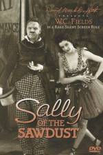 Watch Sally of the Sawdust 123netflix