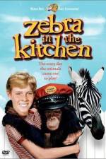 Watch Zebra in the Kitchen 123netflix