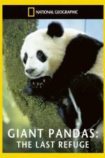 Watch National Geographic Giant Pandas The Last Refuge 123netflix