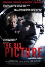 Watch The Big Picture 123netflix