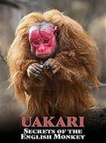 Watch Uakari: Secrets of the English Monkey 123netflix