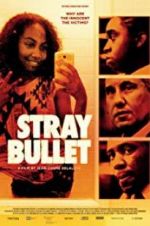Watch Stray Bullet 123netflix