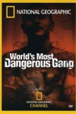 Watch National Geographic World's Most Dangerous Gang 123netflix