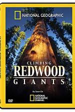 Watch National Geographic Explorer: Climbing Redwood Giants 123netflix