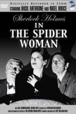 Watch The Spider Woman 123netflix