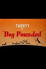 Watch Dog Pounded (Short 1954) 123netflix