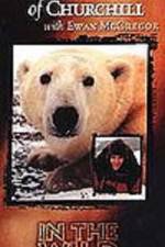 Watch The Polar Bears of Churchill with Ewan McGregor 123netflix